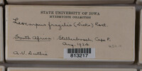 Image Associated With the Occurence